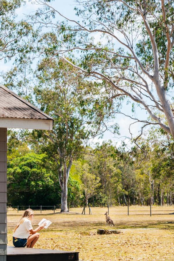 Kangarooms Noosa Everglades Cootharaba Ngoại thất bức ảnh